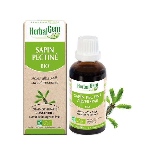 Bioヨーロッパモミ ジェモレメディ 骨の強化 ミネラルバランスを促進 50ml 単体植物 Herbalgem ハーバルジェム